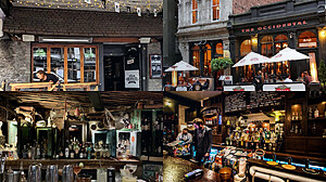 Auckland Bar Crawl Scavenger Hunt - Auckland Auckland Bar Hunt Bar Hunt